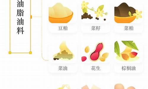 期货品种之间(期货品种代码表)_https://www.czytfl.com_期货交易_第1张