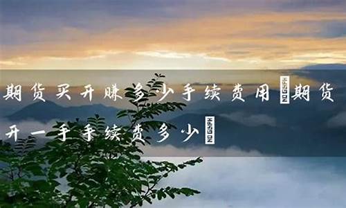 国际期货手续费(国际期货手续费和国内期货手续费)_https://www.czytfl.com_期货行情_第1张