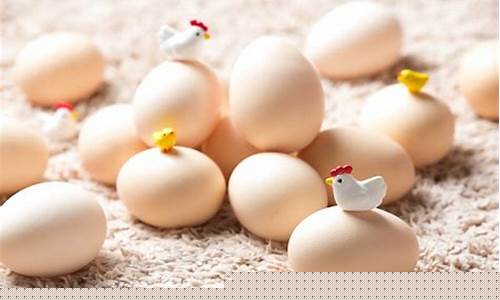 鸡蛋期货和什么关联(鸡蛋期货主力合约是哪几个月)_https://www.czytfl.com_期货交易_第1张