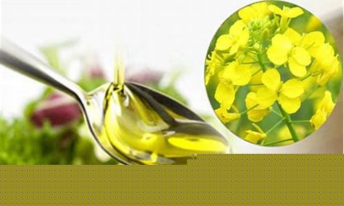 菜油期货代码(菜油期货代码查询)_https://www.czytfl.com_期货交易_第1张