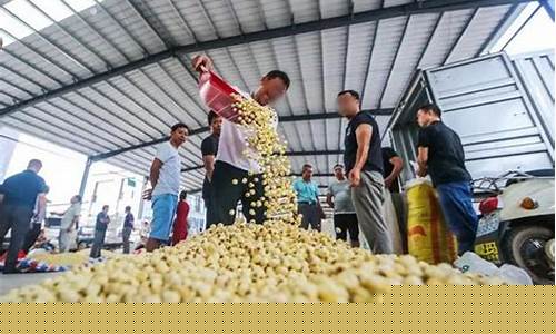 未来适合在乡镇开的实体店(乡镇冷门暴利生意)_https://www.czytfl.com_期货_第1张