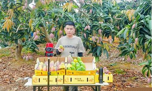 期货芒果直播间(芒果TV直播间)_https://www.czytfl.com_期货行情_第1张