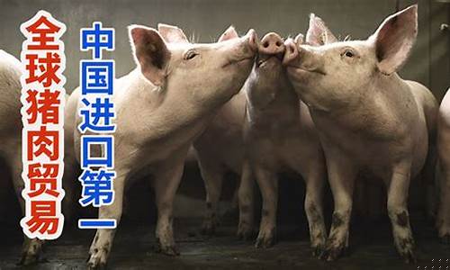 猪肉期货实况视频直播平台_https://www.czytfl.com_期货走势_第1张