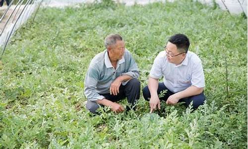 西瓜期货直播(西瓜期货直播平台)_https://www.czytfl.com_期货行情_第1张