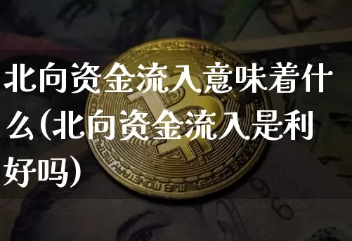北向资金流入意味着什么(北向资金流入是利好吗)_https://www.czytfl.com_期货价格_第1张
