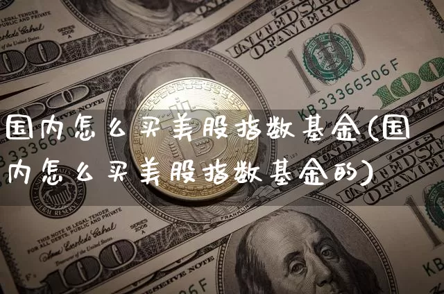 国内怎么买美股指数基金(国内怎么买美股指数基金的)_https://www.czytfl.com_期货行情_第1张