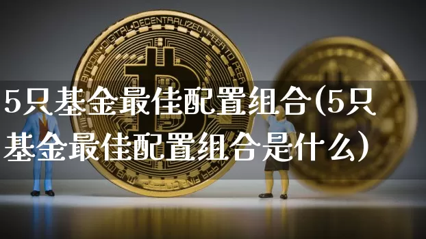 5只基金最佳配置组合(5只基金最佳配置组合是什么)_https://www.czytfl.com_期货价格_第1张