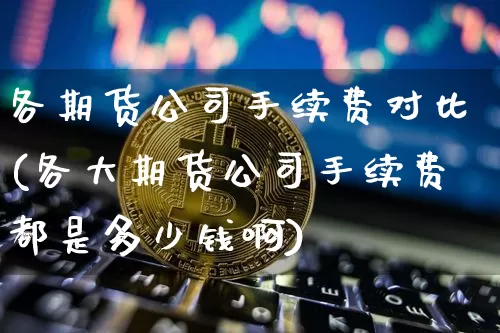 各期货公司手续费对比(各大期货公司手续费都是多少钱啊)_https://www.czytfl.com_期货交易_第1张