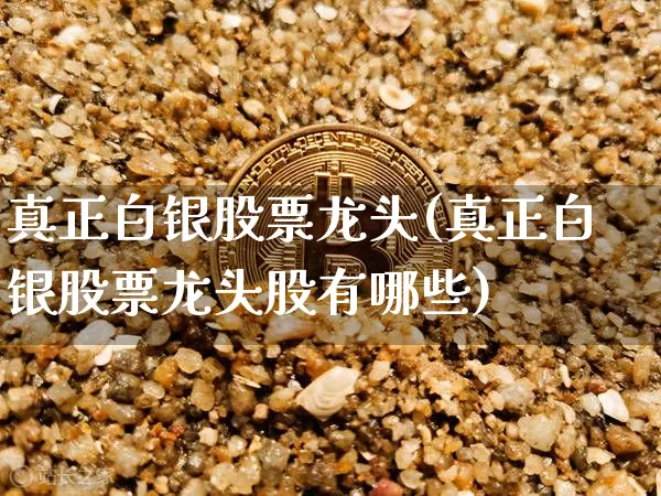 真正白银股票龙头(真正白银股票龙头股有哪些)_https://www.czytfl.com_期货走势_第1张