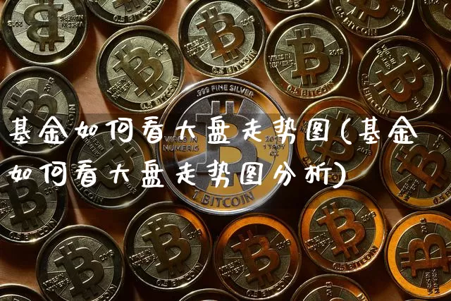 基金如何看大盘走势图(基金如何看大盘走势图分析)_https://www.czytfl.com_期货行情_第1张