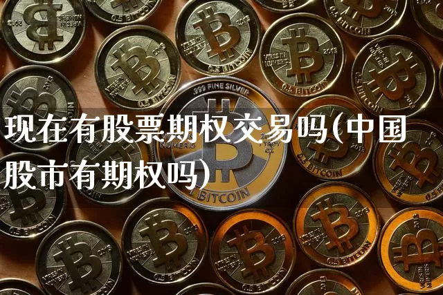 现在有股票期权交易吗(中国股市有期权吗)_https://www.czytfl.com_期货价格_第1张