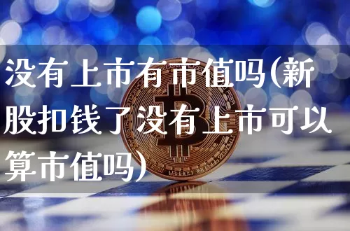 没有上市有市值吗(新股扣钱了没有上市可以算市值吗)_https://www.czytfl.com_期货走势_第1张