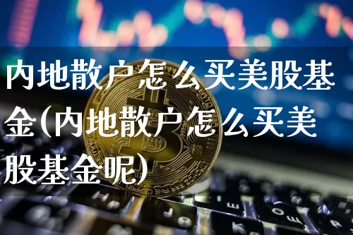 内地散户怎么买美股基金(内地散户怎么买美股基金呢)_https://www.czytfl.com_期货走势_第1张