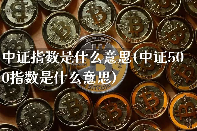中证指数是什么意思(中证500指数是什么意思)_https://www.czytfl.com_期货行情_第1张