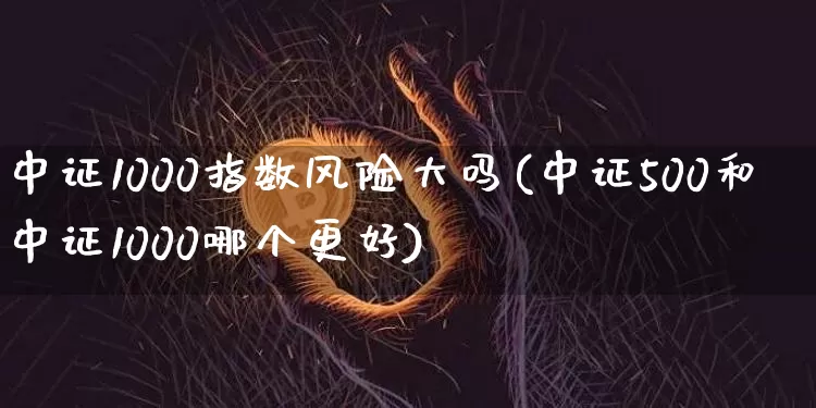 中证1000指数风险大吗(中证500和中证1000哪个更好)_https://www.czytfl.com_期货走势_第1张