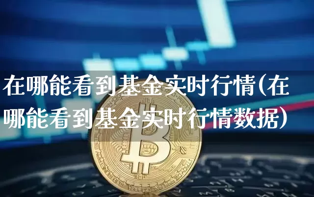 在哪能看到基金实时行情(在哪能看到基金实时行情数据)_https://www.czytfl.com_期货_第1张