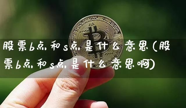 股票b点和s点是什么意思(股票b点和s点是什么意思啊)_https://www.czytfl.com_期货_第1张