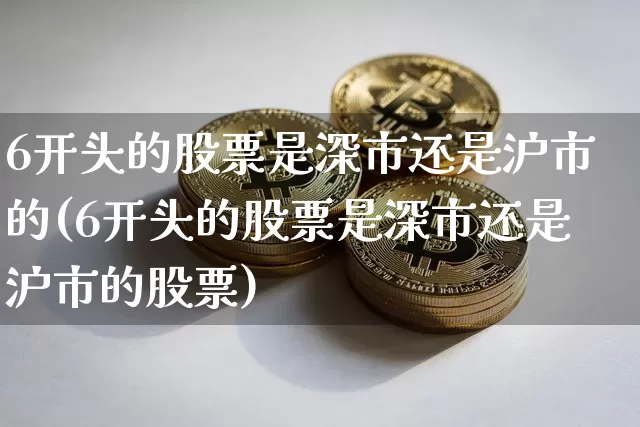 6开头的股票是深市还是沪市的(6开头的股票是深市还是沪市的股票)_https://www.czytfl.com_期货_第1张