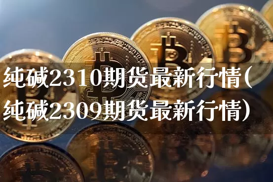 纯碱2310期货最新行情(纯碱2309期货最新行情)_https://www.czytfl.com_期货行情_第1张
