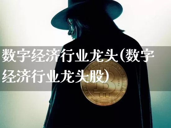 数字经济行业龙头(数字经济行业龙头股)_https://www.czytfl.com_期货走势_第1张