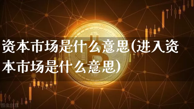 资本市场是什么意思(进入资本市场是什么意思)_https://www.czytfl.com_期货走势_第1张