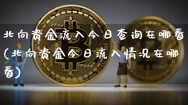 北向资金流入今日查询在哪看(北向资金今日流入情况在哪看)_https://www.czytfl.com_期货行情_第1张