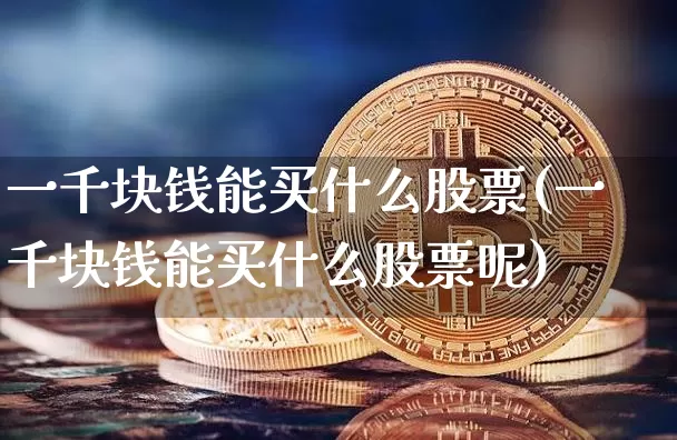 一千块钱能买什么股票(一千块钱能买什么股票呢)_https://www.czytfl.com_期货走势_第1张