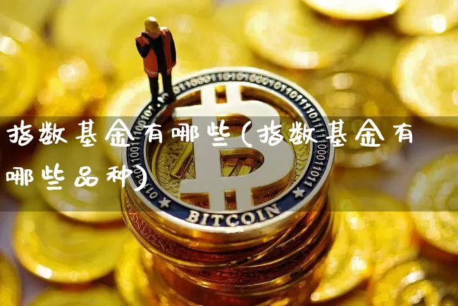 指数基金有哪些(指数基金有哪些品种)_https://www.czytfl.com_期货_第1张