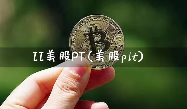 II美股PT(美股plt)_https://www.czytfl.com_期货_第1张