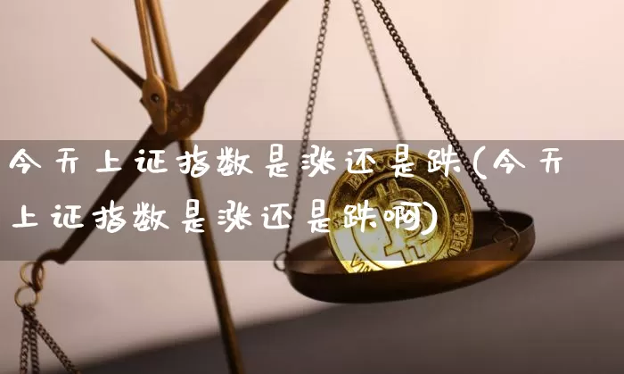今天上证指数是涨还是跌(今天上证指数是涨还是跌啊)_https://www.czytfl.com_期货行情_第1张