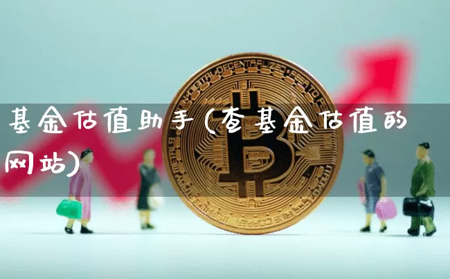基金估值助手(查基金估值的网站)_https://www.czytfl.com_期货走势_第1张