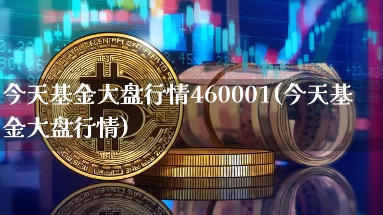 今天基金大盘行情460001(今天基金大盘行情)_https://www.czytfl.com_期货价格_第1张