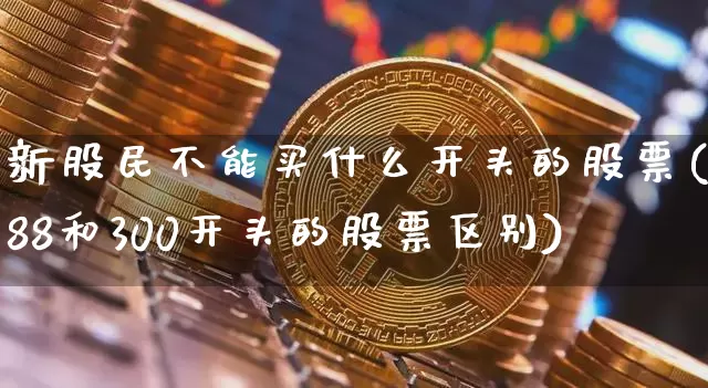新股民不能买什么开头的股票(688和300开头的股票区别)_https://www.czytfl.com_期货走势_第1张