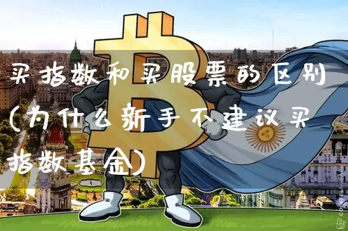 买指数和买股票的区别(为什么新手不建议买指数基金)_https://www.czytfl.com_期货行情_第1张