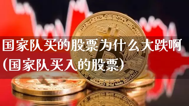 国家队买的股票为什么大跌啊(国家队买入的股票)_https://www.czytfl.com_期货行情_第1张