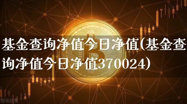 基金查询净值今日净值(基金查询净值今日净值370024)_https://www.czytfl.com_期货走势_第1张