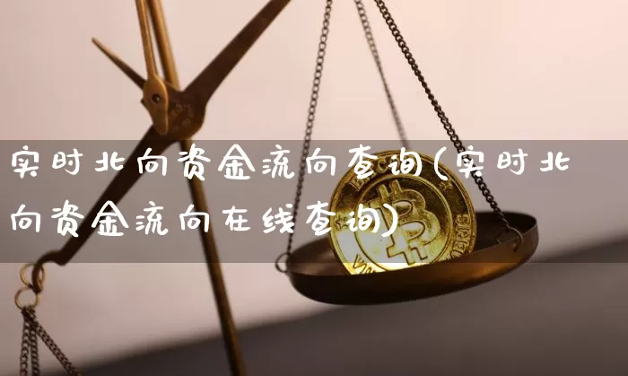 实时北向资金流向查询(实时北向资金流向在线查询)_https://www.czytfl.com_期货走势_第1张