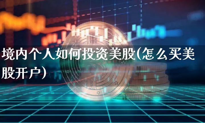 境内个人如何投资美股(怎么买美股开户)_https://www.czytfl.com_期货走势_第1张