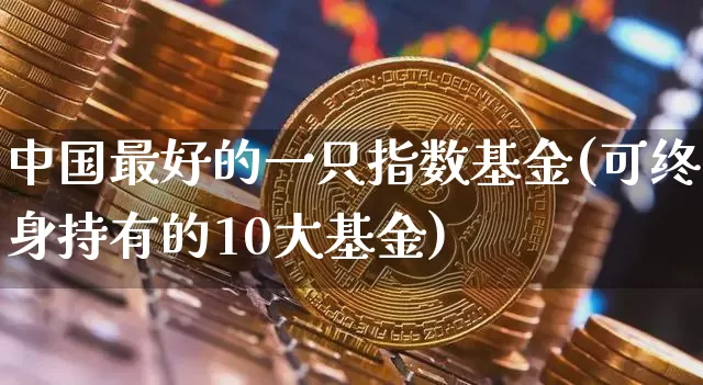 中国最好的一只指数基金(可终身持有的10大基金)_https://www.czytfl.com_期货行情_第1张