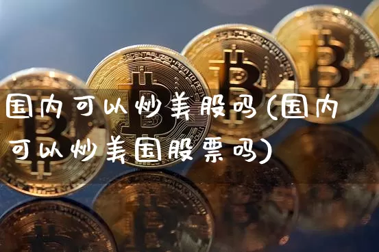 国内可以炒美股吗(国内可以炒美国股票吗)_https://www.czytfl.com_期货_第1张