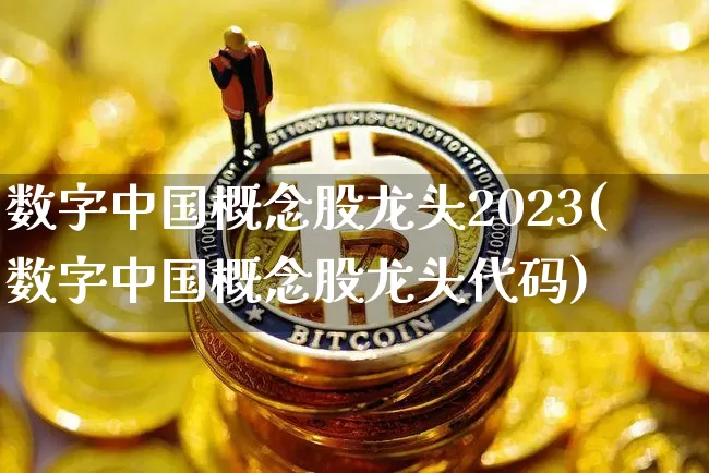 数字中国概念股龙头2023(数字中国概念股龙头代码)_https://www.czytfl.com_期货行情_第1张