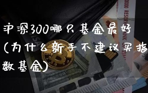 沪深300哪只基金最好(为什么新手不建议买指数基金)_https://www.czytfl.com_期货行情_第1张