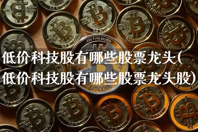 低价科技股有哪些股票龙头(低价科技股有哪些股票龙头股)_https://www.czytfl.com_期货走势_第1张