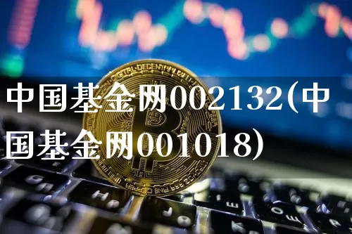 中国基金网002132(中国基金网001018)_https://www.czytfl.com_期货行情_第1张