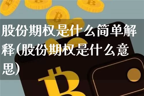 股份期权是什么简单解释(股份期权是什么意思)_https://www.czytfl.com_期货行情_第1张