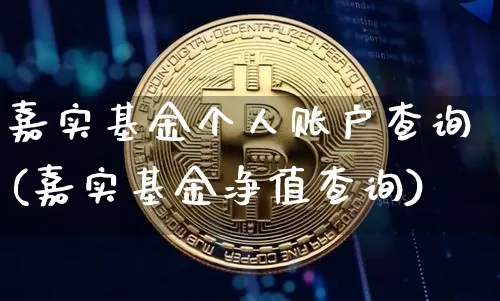 嘉实基金个人账户查询(嘉实基金净值查询)_https://www.czytfl.com_期货_第1张