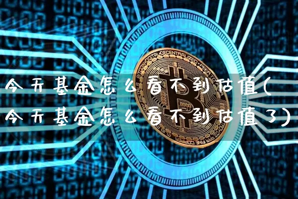 今天基金怎么看不到估值(今天基金怎么看不到估值了)_https://www.czytfl.com_期货走势_第1张