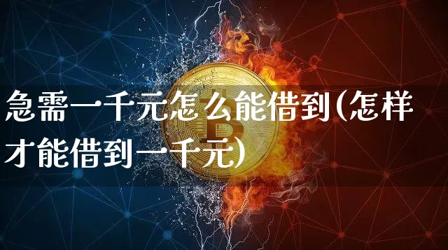 急需一千元怎么能借到(怎样才能借到一千元)_https://www.czytfl.com_期货_第1张