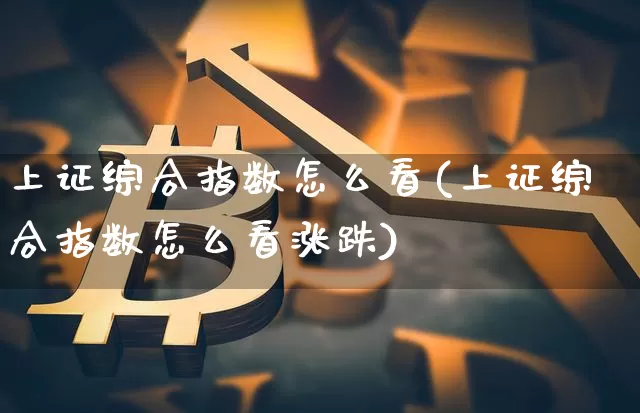 上证综合指数怎么看(上证综合指数怎么看涨跌)_https://www.czytfl.com_期货价格_第1张