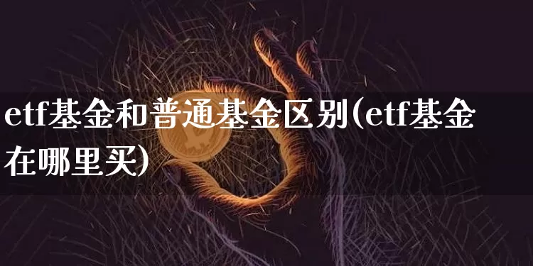etf基金和普通基金区别(etf基金在哪里买)_https://www.czytfl.com_期货价格_第1张